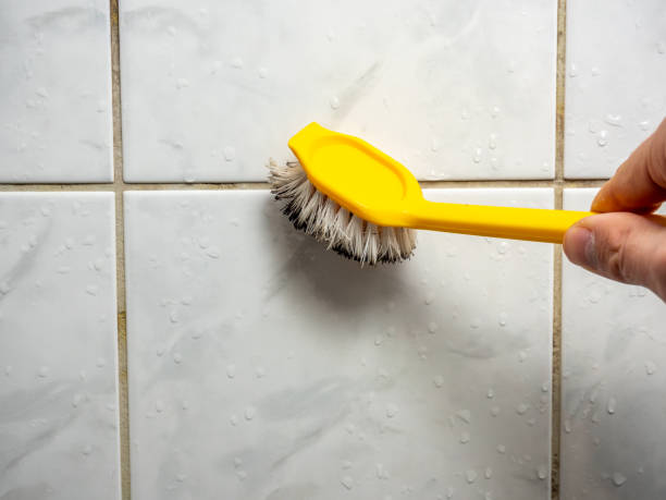 Attic Mold Removal in Encinal, TX