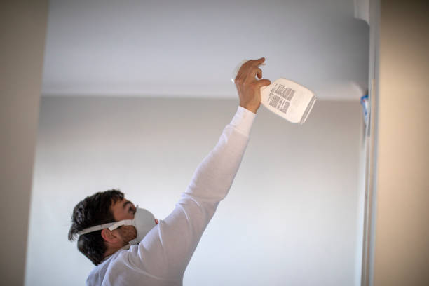 Best Water Damage Restoration  in Encinal, TX