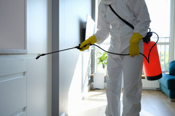 Best Mold Removal Specialists  in Encinal, TX